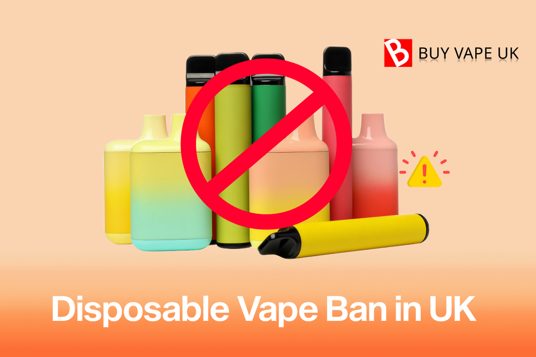 Disposable Vape Ban in the United Kingdom,UK