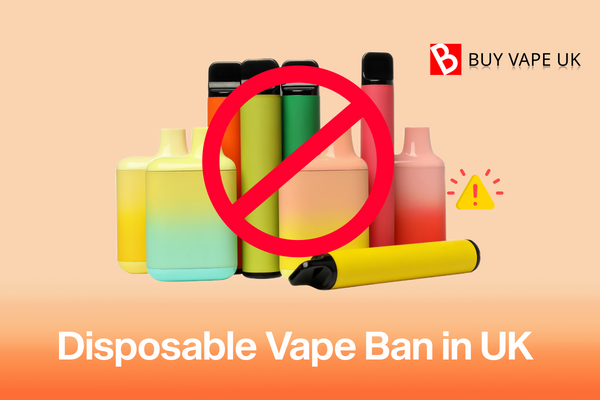Disposable Vape Ban in the United Kingdom,UK
