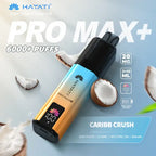 Hayati Pro Max Plus 6000 Puffs Vape