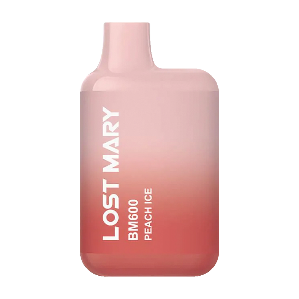 Lost Mary BM600 Blueberry Prefilled Pod Kit