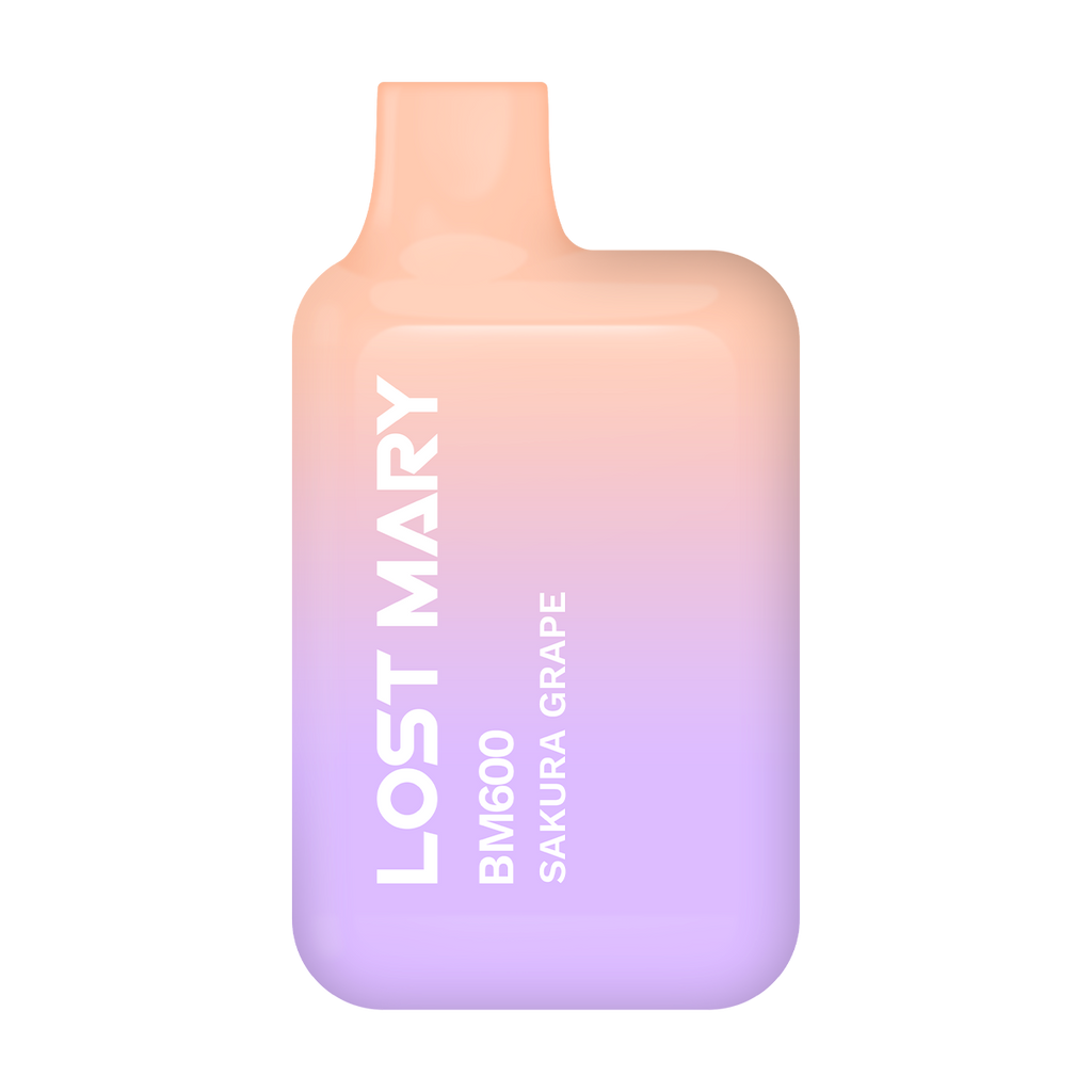 Lost Mary BM600 Blueberry Prefilled Pod Kit