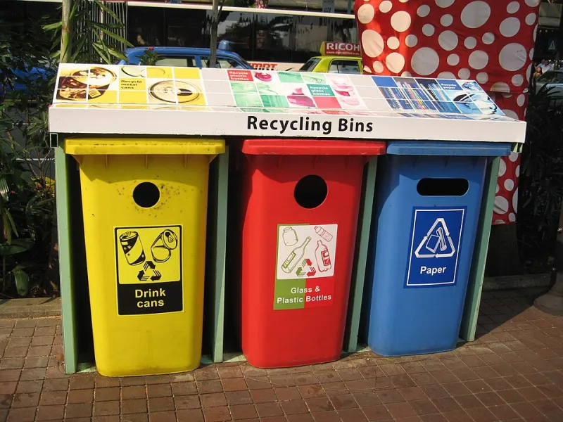 Your Bin Is Not a Bin: How the 2025 Disposable Crackdown Changes What Lands on Your Doorstep